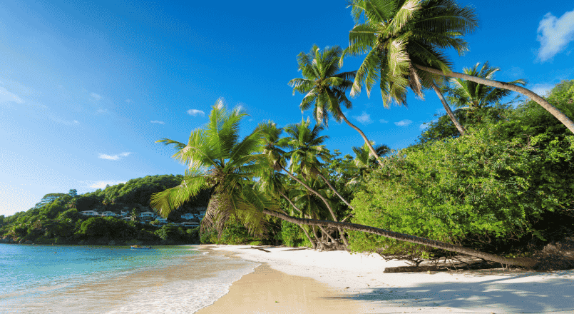 Avante Ibogaine Treatment Center in Bahamas